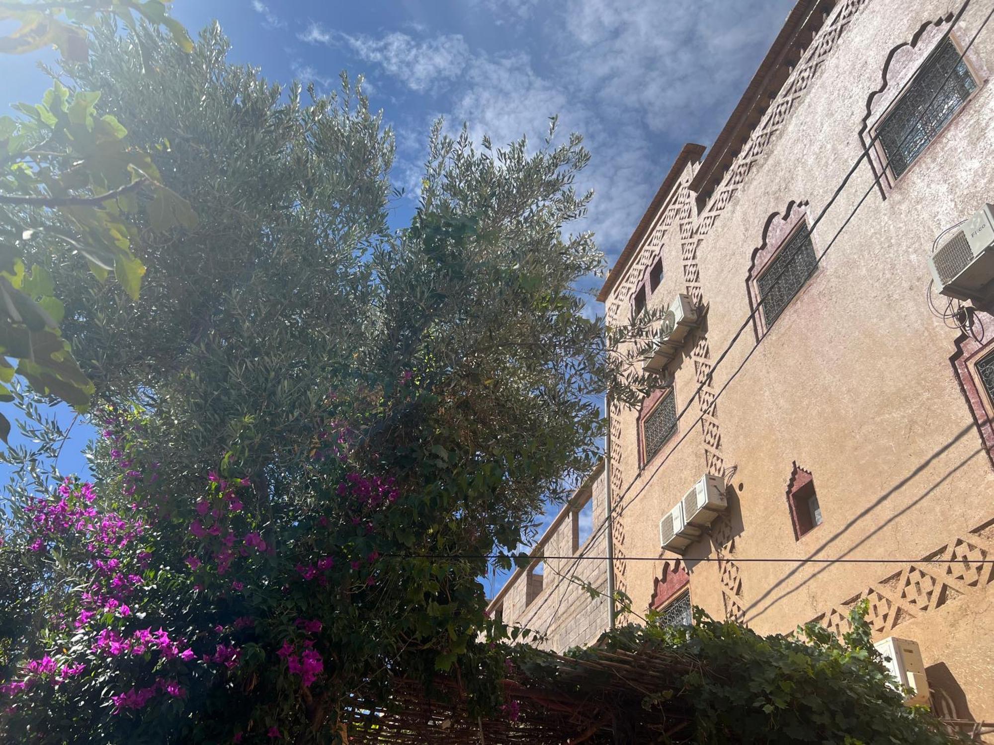 Dar Calme Chez El Bouhali Hotel Skoura Buitenkant foto